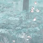 Miniatura fototapety Las z Wysokimi Drzewami i Mgłą fragment #1