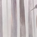 Miniatura fototapety Las z wysokimi drzewami i mgłą fragment #1