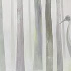 Miniatura fototapety Leśna mgła i wysokie drzewa fragment #1