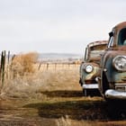 Miniatura fototapety Stare samochody na polu