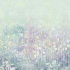 Miniatura fototapety Delikatne kwiaty na łące