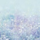 Miniatura fototapety Delikatne kwiaty na łące