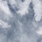 Miniatura fototapety Białe pióra na szarym tle