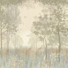 Miniatura fototapety Drzewa w Mglistym Lesie