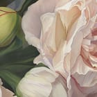 Miniatura fototapety Bukiet białych piwonii na ciemnym tle fragment #1