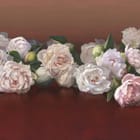 Miniatura fototapety Bukiet białych piwonii na ciemnym tle