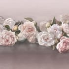 Miniatura fototapety Bukiet różowych piwonii na tle