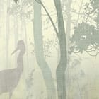 Miniatura fototapety Mglisty Las z Wysokimi Drzewami fragment #2