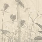 Miniatura fototapety Gęsty Las z Wysokimi Drzewami fragment #2