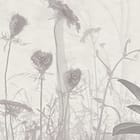 Miniatura fototapety Gęsty las z wysokimi drzewami fragment #2