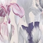 Miniatura fototapety Kolorowe irysy na jasnym tle fragment #1