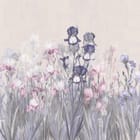 Miniatura fototapety Kolorowe irysy na jasnym tle