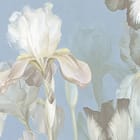 Miniatura fototapety Pole irysów na tle nieba fragment #1