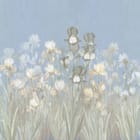 Miniatura fototapety Pole irysów na tle nieba