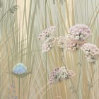 Miniatura fototapety Las z Wysokimi Drzewami i Mgłą fragment #1