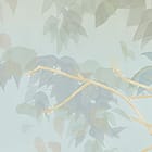 Miniatura fototapety Las z Wysokimi Drzewami i Mgłą fragment #2