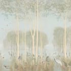 Miniatura fototapety Las z Wysokimi Drzewami i Mgłą