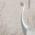 Miniatura fototapety Las z wysokimi drzewami i mgłą fragment #1