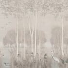 Miniatura fototapety Las z wysokimi drzewami i mgłą