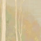 Miniatura fototapety Las z wysokimi drzewami i jeziorem fragment #3