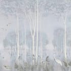 Miniatura fototapety Las z wysokimi drzewami