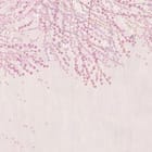 Miniatura fototapety Sakura z różowymi kwiatami