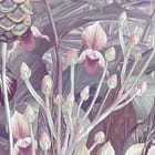 Miniatura fototapety Dżungla z bujną roślinnością fragment #1