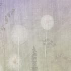 Miniatura fototapety Dmuchawce na łące z fioletowym niebem fragment #2