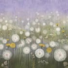 Miniatura fototapety Dmuchawce na łące z fioletowym niebem