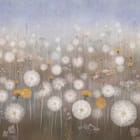 Miniatura fototapety Dmuchawce na łące z kwiatami