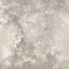 Miniatura fototapety Delikatne liście na jasnym tle