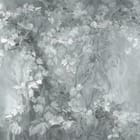 Miniatura fototapety Liście i pnącza w delikatnym świetle