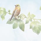 Miniatura fototapety Kolorowe róże na łodygach fragment #2