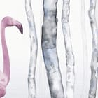Miniatura fototapety Różowe flamingi w lesie fragment #1