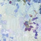 Miniatura fototapety Gałęzie z Fioletowymi Kwiatami fragment #2