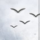 Miniatura fototapety Geometryczne panele z ptakami fragment #2