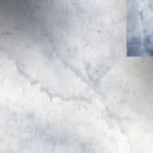 Miniatura fototapety Geometryczne panele z ptakami fragment #3