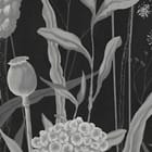 Miniatura fototapety Czarno-białe polne kwiaty fragment #1