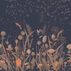 Miniatura fototapety Kwiaty polne na ciemnym tle