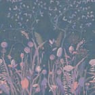 Miniatura fototapety Kwiaty polne na ciemnym tle