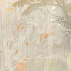 Miniatura fototapety Sylwetki jeleni w lesie fragment #2