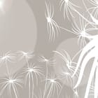 Miniatura fototapety Białe Dmuchawce na Tle Bokeh fragment #1