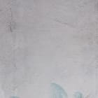 Miniatura fototapety Niebieskie Kwiaty na Szarym Tle fragment #2