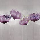 Miniatura fototapety Fioletowe kwiaty na szarym tle