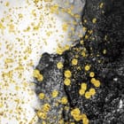 Miniatura fototapety Abstrakcyjne wzory z czarnym i złotym fragment #1