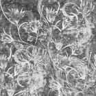 Miniatura fototapety Białe Kwiaty na Szarym Tle