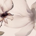 Miniatura fototapety Magnolie na gałęzi z liśćmi