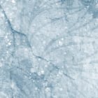 Miniatura fototapety Wiszące gałęzie z kwiatami fragment #2