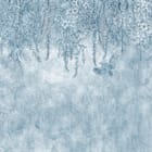 Miniatura fototapety Wiszące gałęzie z kwiatami