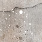 Miniatura fototapety Abstrakcyjne kwiaty na ścianie fragment #2